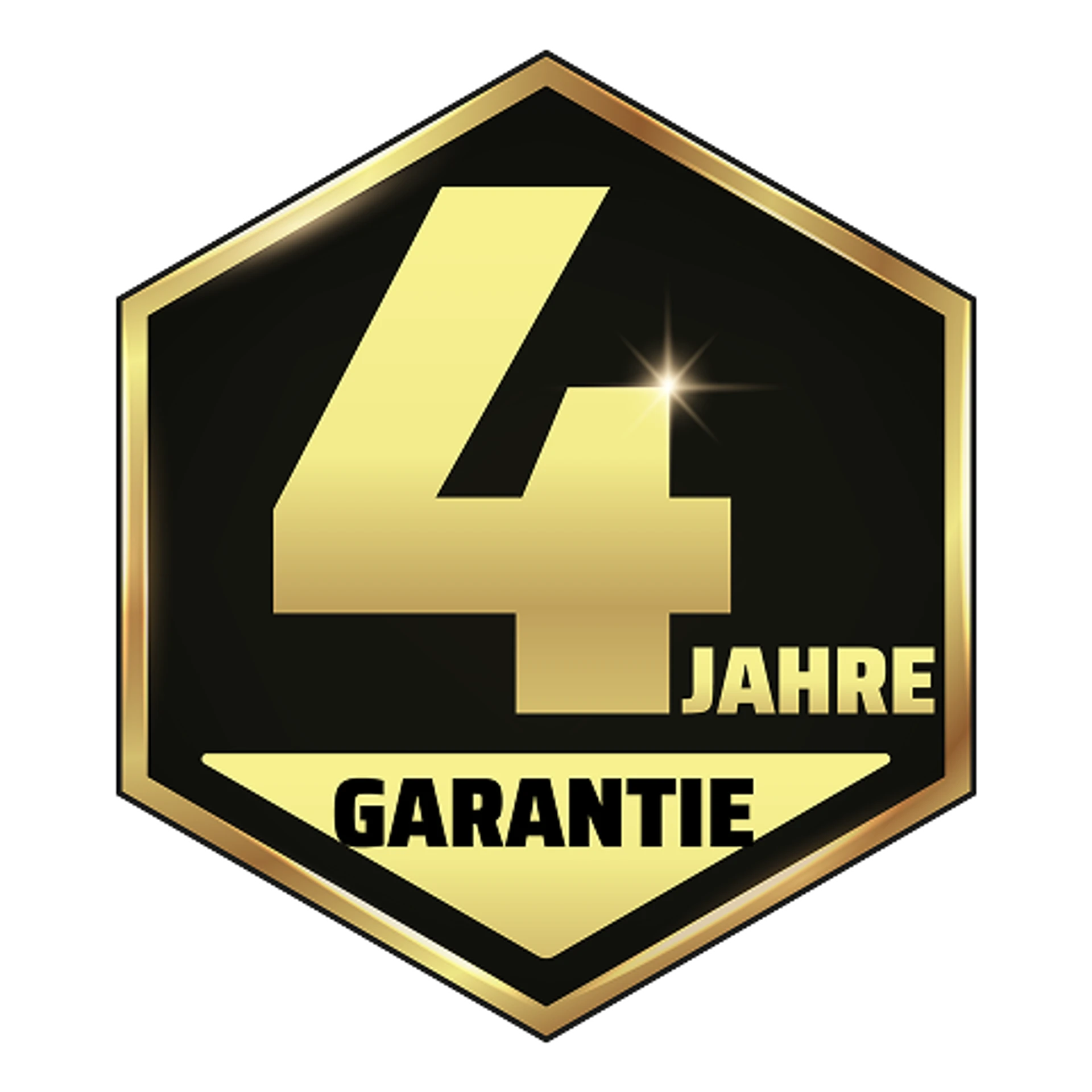 4-year-logo